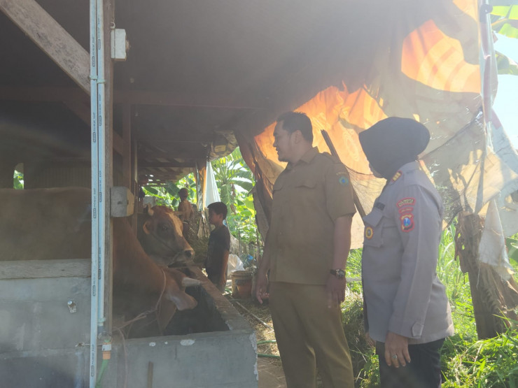 Polsek Gedangan Tinjau Ketahanan Pangan Sapi