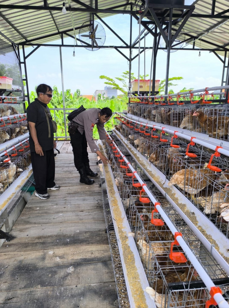 Bhabinkamtibmas Sidodadi Sambangi Peternakan Ayam Petelur, Tingkatkan Ketahanan Pangan