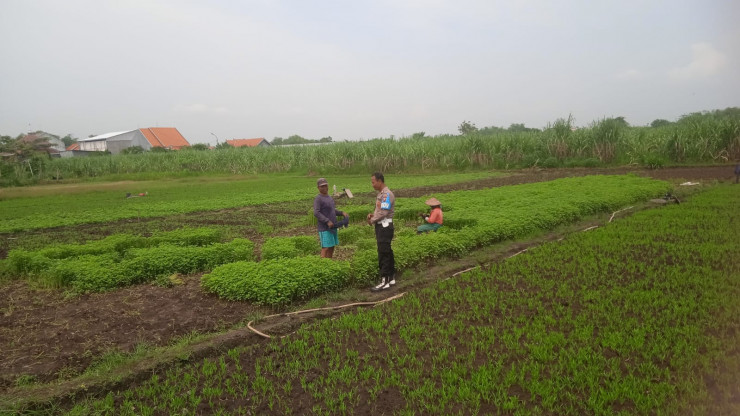Bhabinkamtibmas Desa Gampang Cek Pekarangan Pangan Bergizi