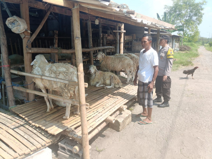 Polsek Porong Tinjau Ternak Kurban Dukung Ketahanan Pangan