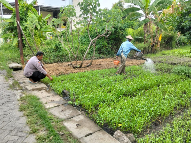 Inspirasi Ketahanan Pangan dengan Optimalisasi Lahan Kosong, Warga Banjarbendo Tanam Sayuran
