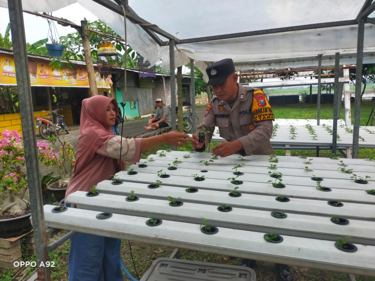 Polsek Taman Tinjau Sayuran Hidroponik Warga Untuk Ketahanan Pangan